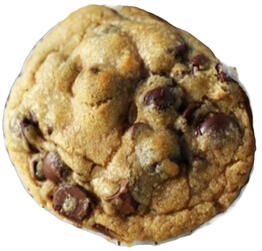 Chocolate Chip